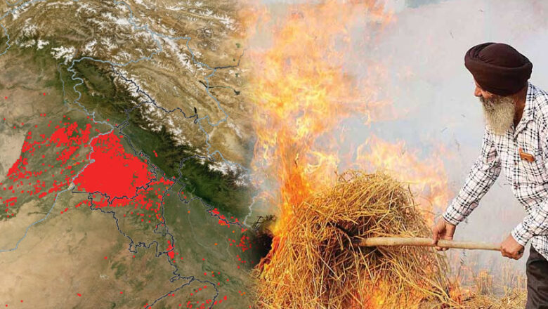 Delhi Report Finds Firecrackers Main Cause Despite 77% Drop in Stubble Burning