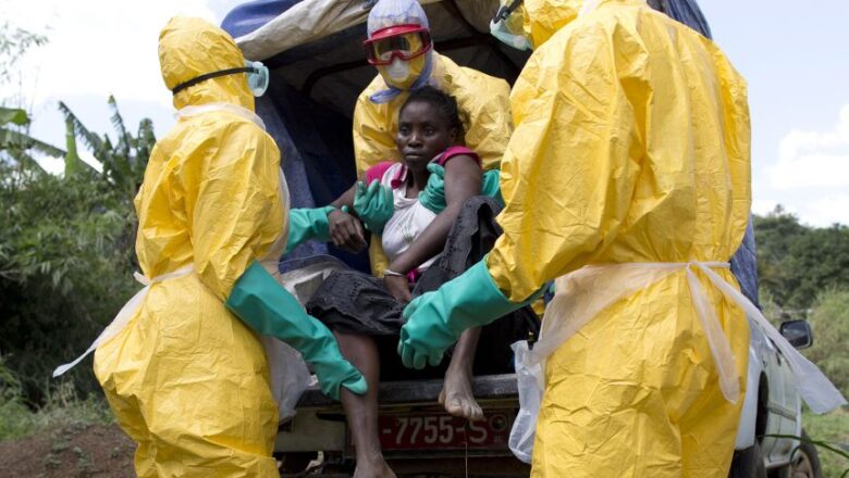 New Forecasting Method Accurately Predicts Epidemic Peaks, Boosting Health Preparedness