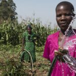 Africa Harnesses Nature to Build Climate Resilience: Six Success Stories Highlighted at UNDRR’s GP2025
