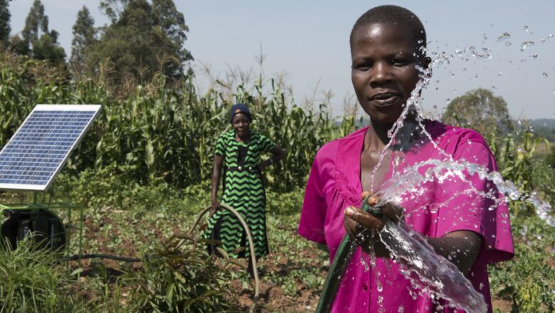 Africa Harnesses Nature to Build Climate Resilience: Six Success Stories Highlighted at UNDRR’s GP2025