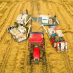 AltM Builds Hyperlocal Modular Supply Chains to Harness Global South’s Agricultural Residues