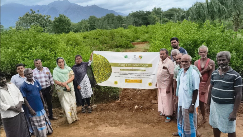 India Exports GI-Tagged Indi and Puliyankudi Limes to UK, Boosting Farmers and Global Reach