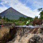 Nature-Based Solutions Boost Flood Resilience in Mandi’s Dharampur