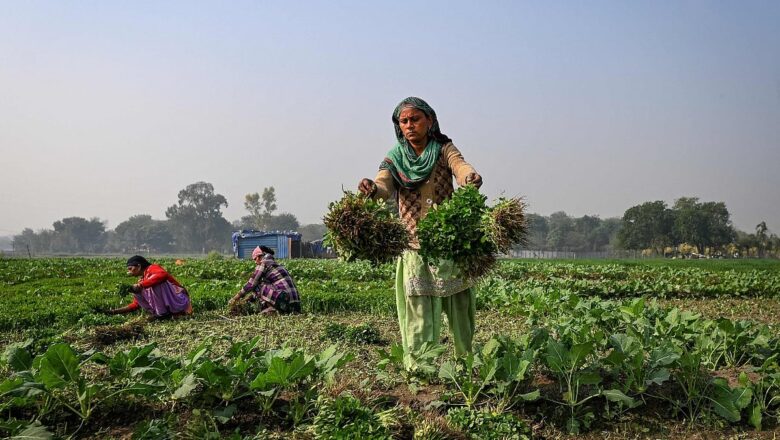 Rethinking India Farm Future: Calls Grow for a Green Revolution 2.0