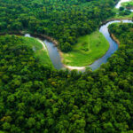 Global Food Production Depends on Forest Moisture Flows Across Borders, Study Finds