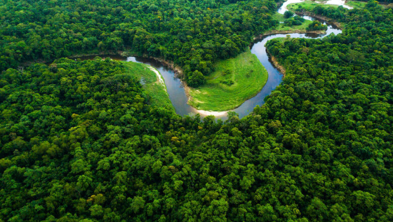 Global Food Production Depends on Forest Moisture Flows Across Borders, Study Finds