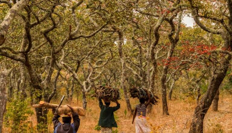 CREWS unveils 2030 strategy to expand life-saving early warnings worldwide