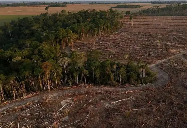 Global Success Story Under Threat: Push to End Amazon Soya Ban Risks New Deforestation Surge