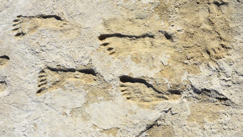 23,000-Year-Old Footprints in New Mexico Shatter Timeline for First Americans