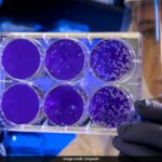 India at Epicentre of Superbug Crisis, Lancet Study Finds Highest Global Resistance