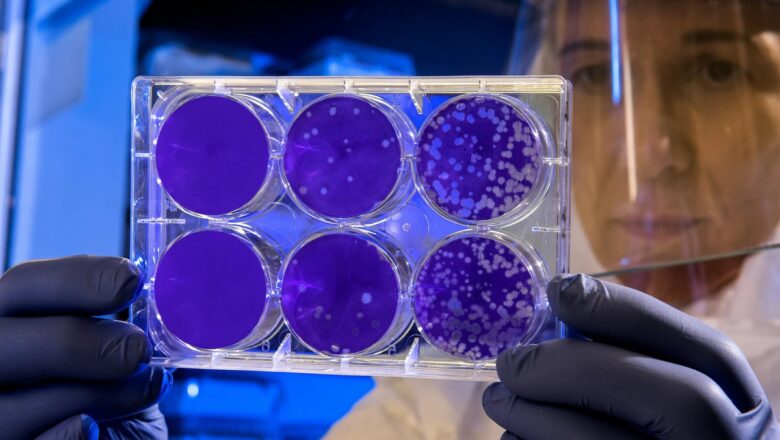 India at Epicentre of Superbug Crisis, Lancet Study Finds Highest Global Resistance