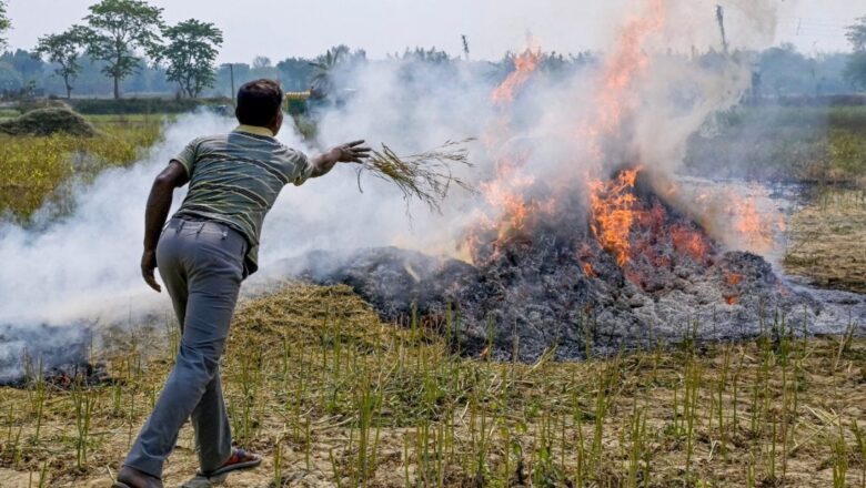 Political Firestorm Over Smog: Punjab CM Denies Stubble Smoke Reaches Delhi Amid ‘Very Poor’ Air