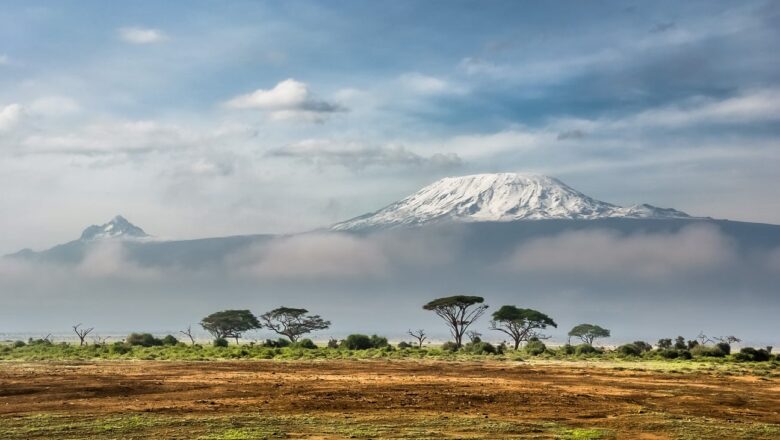 Population Growth, Not Climate Change, Primary Driver of Massive Biodiversity Loss on Mount Kilimanjaro