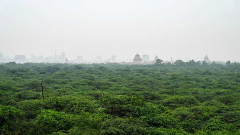 Delhi Finally Declares 4,080 Hectares of Southern Ridge as Reserve Forest After 31 Year Delay