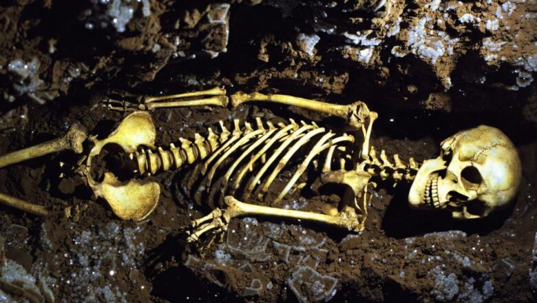 Ancient Egypt Origins Rewritten: DNA From 4,500-Year-Old Skeleton Reveals Link With Mesopotamia