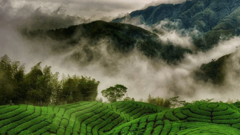 Seasons Lose Their Identity As India Enters A New Climate Era