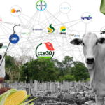 COP30 Sidesteps Agricultural Emissions As Promises Fade On Food System Reform