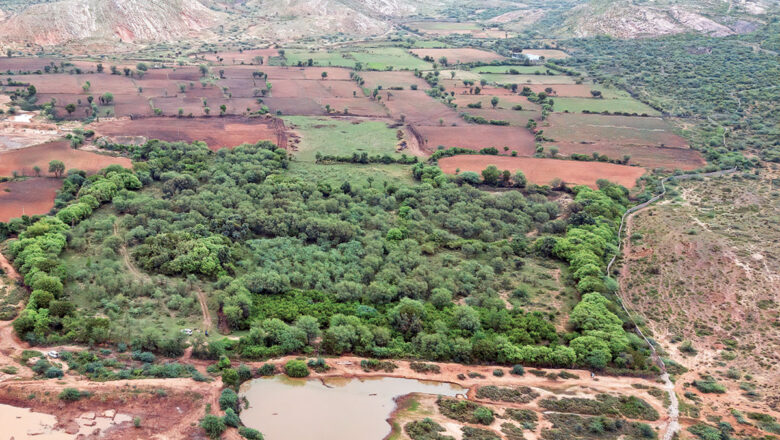 Legal Ambiguity Stalls Private Rewilding Efforts Across India