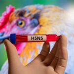 First Human H5N5 Avian Influenza Case Confirmed in Washington State