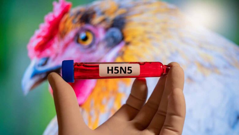 First Human H5N5 Avian Influenza Case Confirmed in Washington State