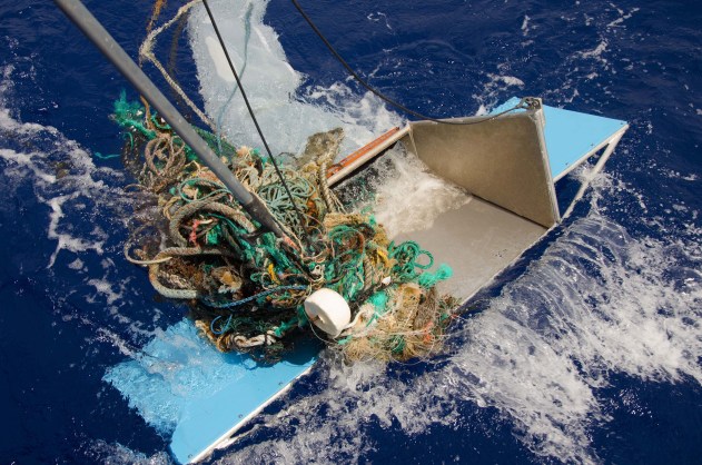 Great Pacific Garbage Patch Found to Host Thriving, Unexpected Marine Ecosystem