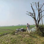 Heat Stress Puts India Agriculture Among High-Risk in Asia-Pacific, Warns UN ESCAP Report