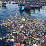 Recycling Cannot Fix the Plastic Crisis, Experts Warn