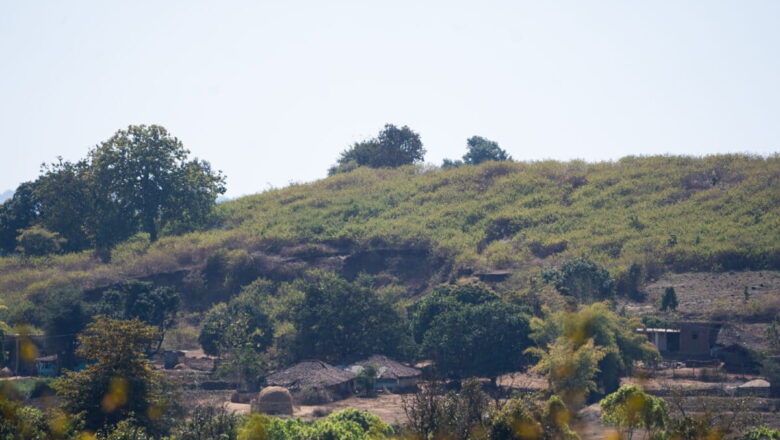 India Confronts Ecological Emergency as Invasive Plants Rapidly Transform Natural Landscapes