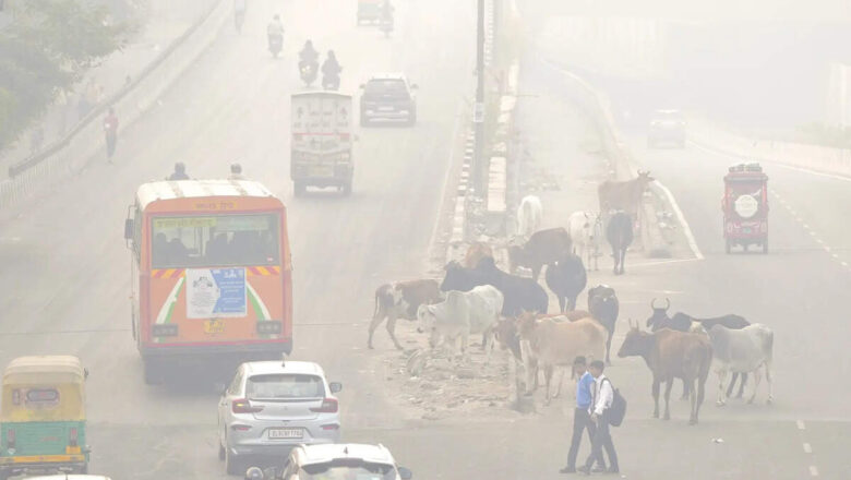 Delhi to launch new pollution-source study as outdated data hampers clean-air action