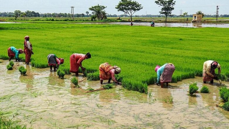 Tamil Nadu Study Shows Integrated Rice Farming Can Cut Emissions and Boost Yields
