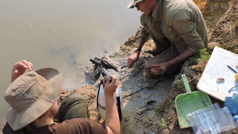 Ancient Wooden Structure Discovered: 300,000 Years Older Than Homo Sapiens