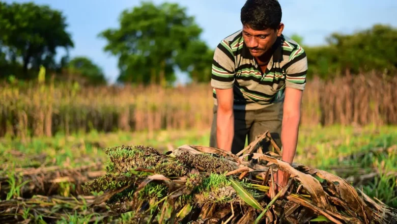 Turning India Crop Waste into a Climate Solutions Worth Billion Tonnes