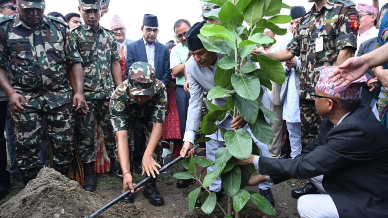 Grassroots forest protection revives Nepal’s degraded hills where planting drives fall short