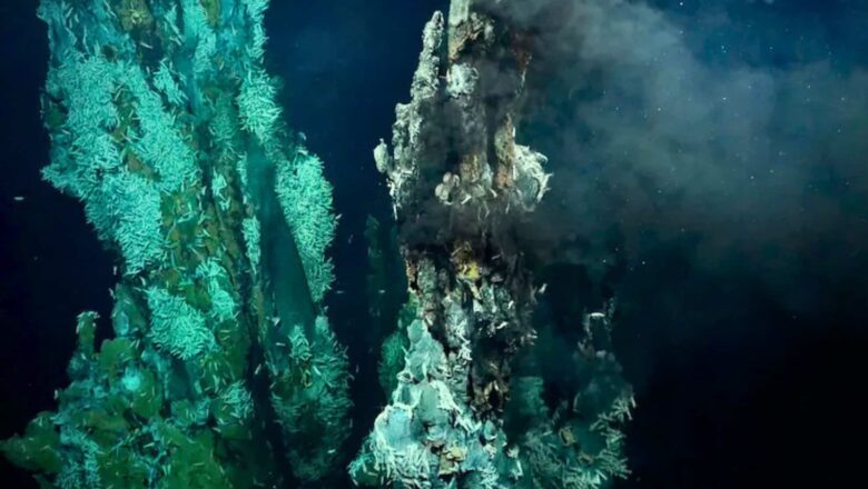 Scientists uncover Bizarre Deep Sea phenomenon 1,300 Metres Below Pacific Active volcano