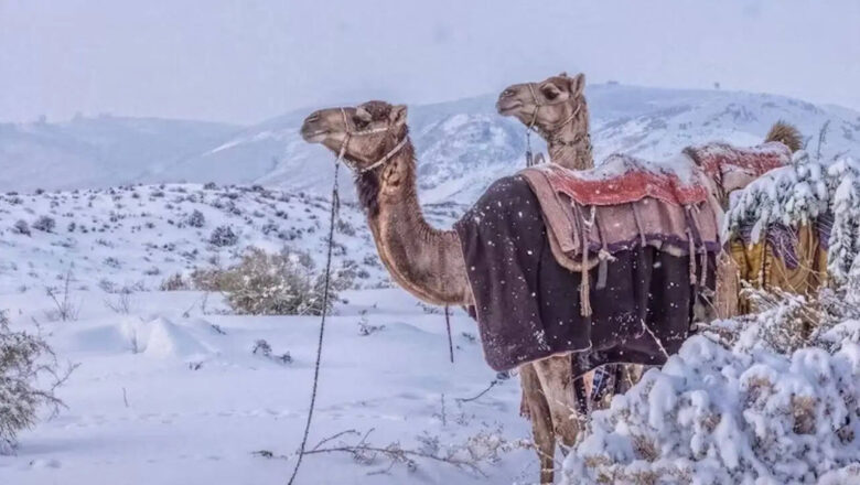 Snow in Saudi Deserts, Summer Like Warmth in Iceland: Extreme Weather Shocks the World