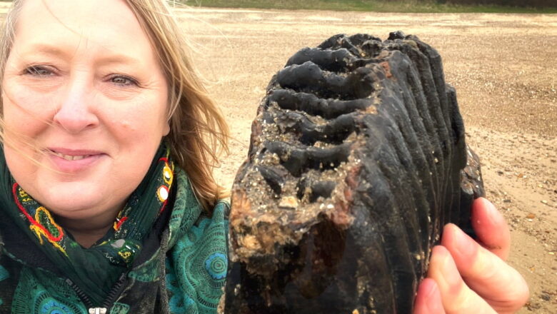 Giant Prehistoric Sea Monster Discovered After 11-Year-Old Girl Finds Fossil on British Beach