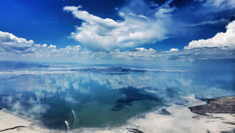 Scientists Discover Unknown Animal Species Thriving in the Extreme Salinity of the Great Salt Lake