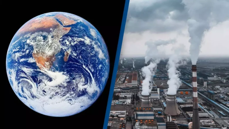 Plants Are Absorbing Less Carbon Dioxide Than Scientists Once Believed, New Study Warns