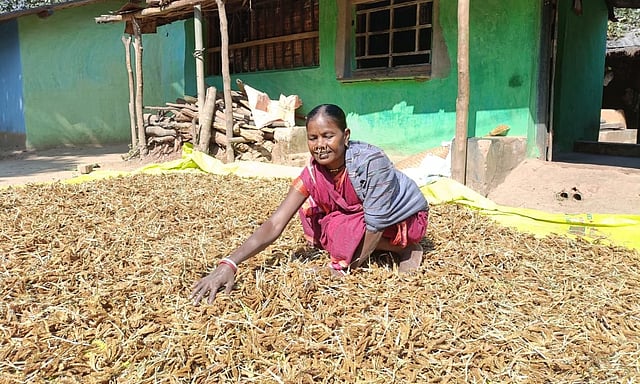 Remote Village of Odisha Tribal Woman Farmer Is Quietly Shaping a Sustainable Future