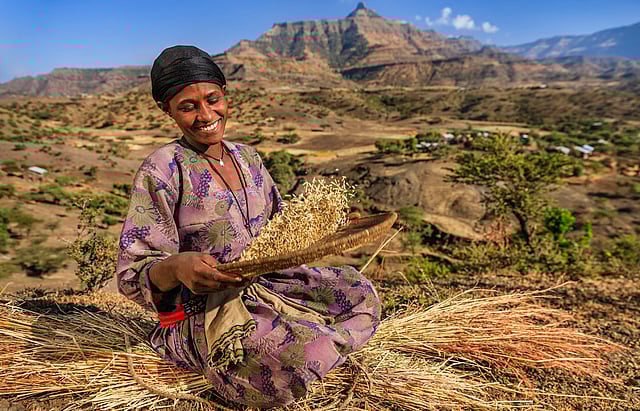 Boosting Agricultural Research Is Key to Stopping Deforestation and Hunger Across Africa