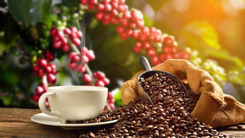 New Anti-Diabetic Compounds Discovered in Roasted Coffee