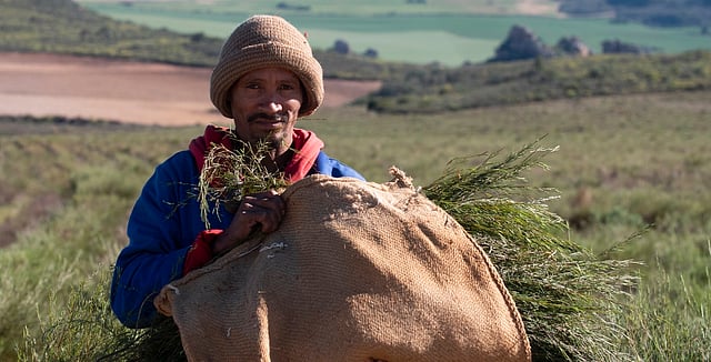 The Lima Standoff Emergence of “Biodiversity Cartels” Reveal a Growing Assertion of Power by the Global South