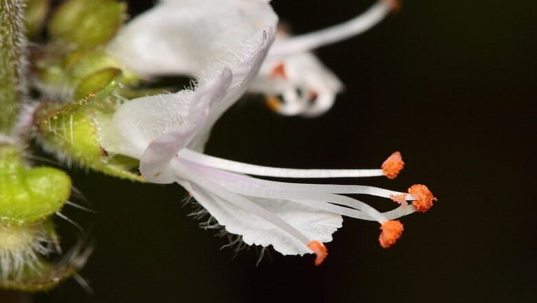 Amazon Entrepreneur Seeds Sustainable Growth with Recycled Paper