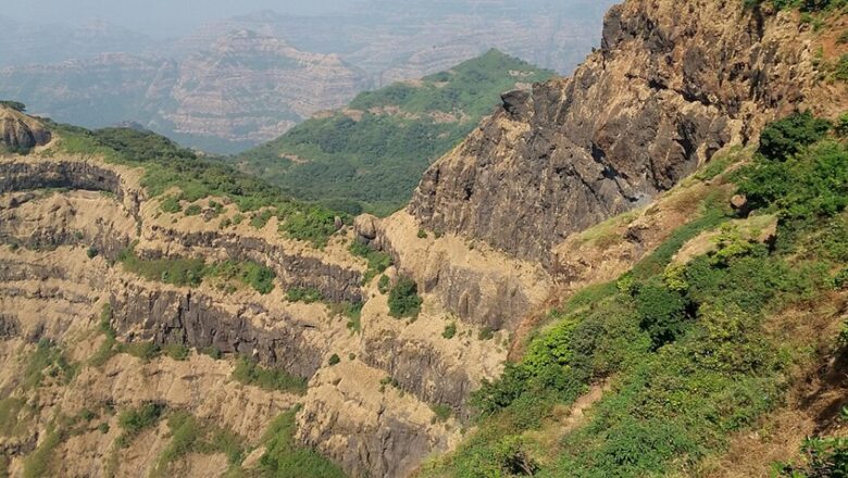 Can Climate Change and Human Pressure Favour Deciduous Forests in the Western Ghats?