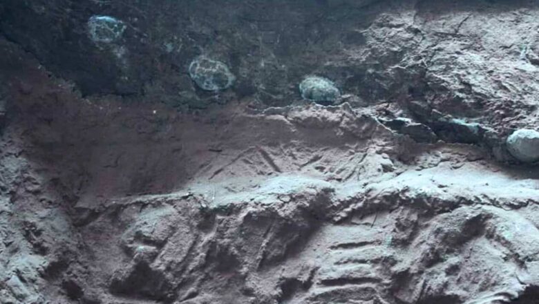 Dinosaur Eggs as Large as Cannonballs Found in China Were Filled With Massive Crystals Instead of Ancient Bones