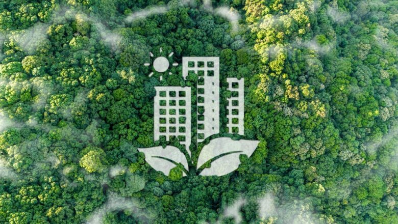 India’s Experience Shows Urban Forests Can Cool Cities Only When Planning Respects Ecology