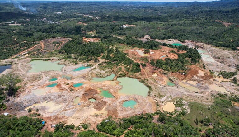 Indonesia Reclaims Over 4 Million Hectares of Forest Land in Sweeping Crackdown on Illegal Plantations and Mining
