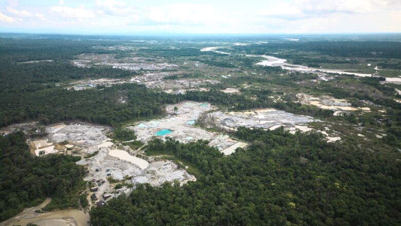 Colombia Is On Track for Another Significant Decline in Deforestation in 2025, Government Data Suggest