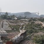Tree Felling for Delhi Rail Project Gets Approval Even as Dwarka Forest Case Remains Pending