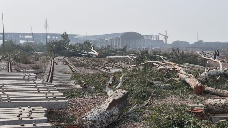 Tree Felling for Delhi Rail Project Gets Approval Even as Dwarka Forest Case Remains Pending